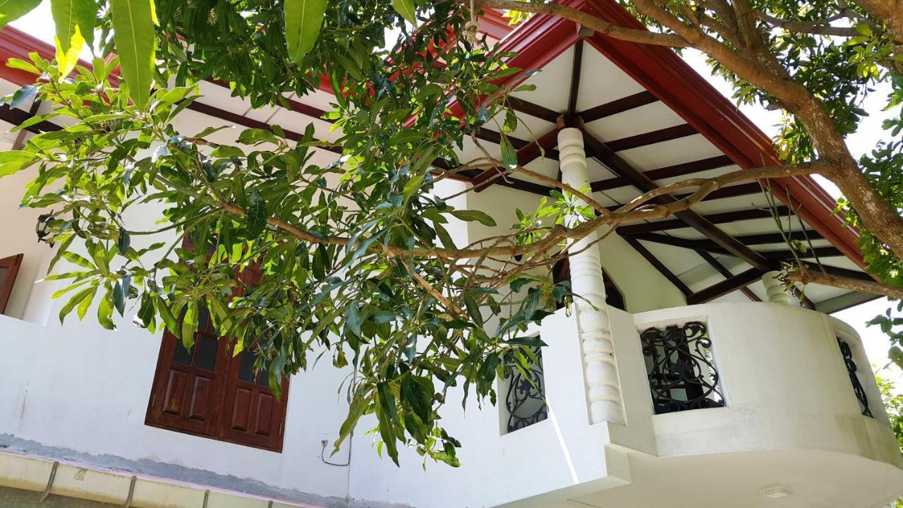 New Chili Lodge Mirissa Esterno foto
