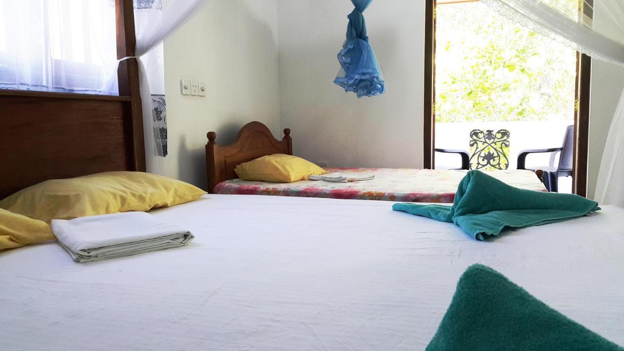 New Chili Lodge Mirissa Esterno foto